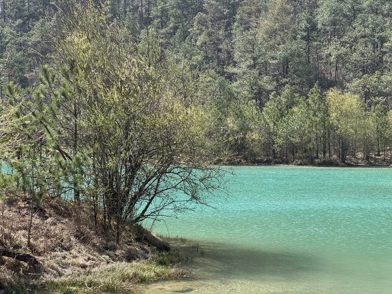 Yunnan travel photo