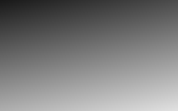 Blurred grayscale image generated by the Metal compute shader